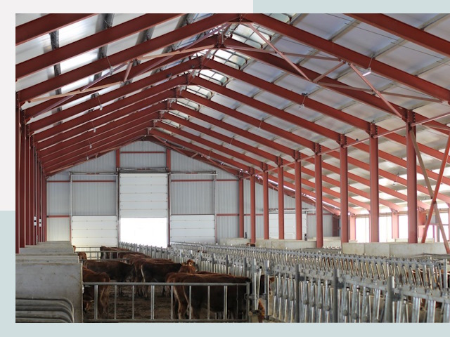 Строительство коровников в Отрадном